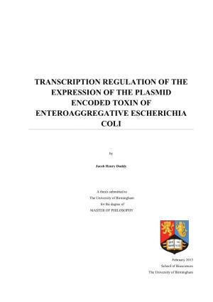 Transcription Regulation of the Expression of the Plasmid Encoded Toxin of Enteroaggregative Escherichia Coli