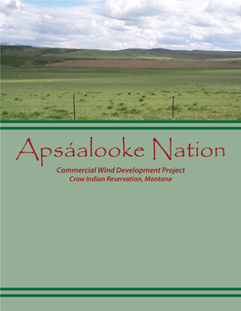 Apsáalooke Nation