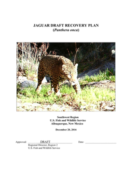 JAGUAR DRAFT RECOVERY PLAN (Panthera Onca)