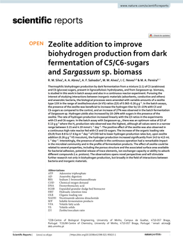 Zeolite Addition to Improve Biohydrogen Production from Dark Fermentation of C5/C6‑Sugars and Sargassum Sp