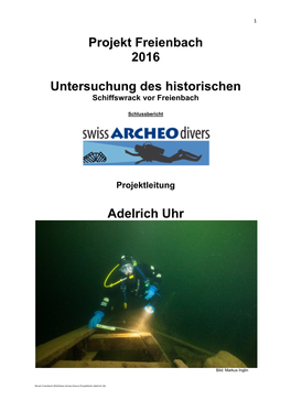 Projekt Freienbach 2016 Untersuchung Des Historischen
