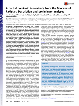 A Partial Hominoid Innominate from the Miocene of Pakistan: Description and Preliminary Analyses