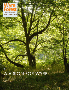 A Vision for Wyre