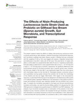 The Effects of Nisin-Producing Lactococcus Lactis Strain Used As Probiotic on Gilthead Sea Bream (Sparus Aurata) Growth, Gut Microbiota, and Transcriptional Response