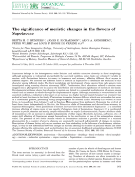 The Significance of Meristic Changes in the Flowers of Sapotaceae