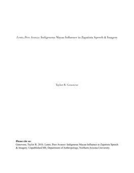 Lento, Pero Avanzo: Indigenous Mayan Influence in Zapatista Speech & Imagery