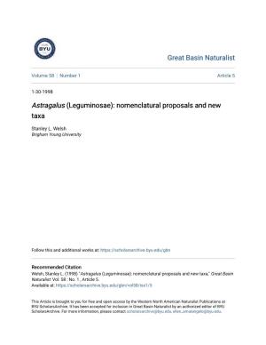 (Leguminosae): Nomenclatural Proposals and New Taxa