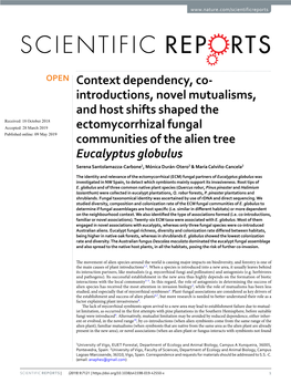 Introductions, Novel Mutualisms, and Host Shifts Shaped the Ectomycorrhizal Fungal Communities of the Alien Tree Eucalyptus Globulus