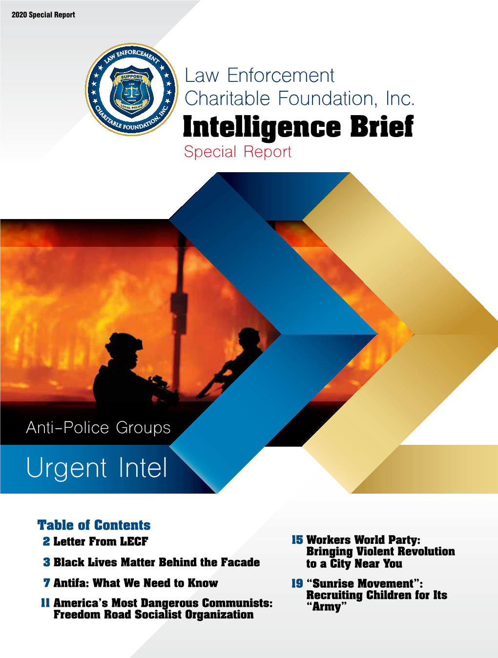 Intelligence Brief Special Report