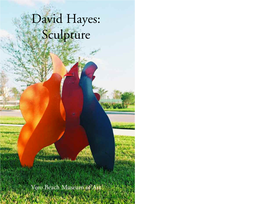 Vero Beach Museum of Art David Hayes: Sculpture