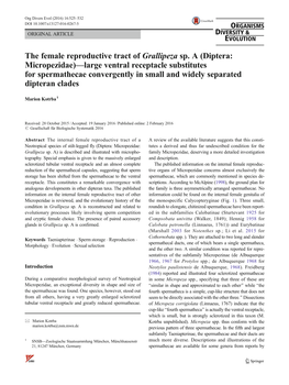 The Female Reproductive Tract of Grallipeza Sp. a (Diptera