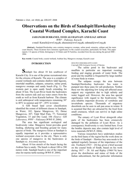 Observations on the Birds of Sandspit/Hawkesbay Coastal Wetland Complex, Karachi Coast