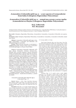 Acmaeodera (Cobosiella) Glebi Sp. N. – a New Species of Acmaeoderini from India (Coleoptera: Buprestidae: Polycestinae) Acmaeodera (Cobosiella) Glebi Sp