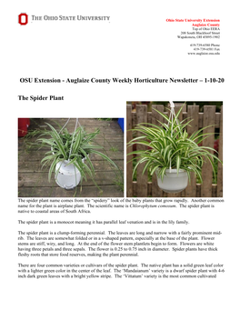 Auglaize County Weekly Horticulture Newsletter – 1-10-20 the Spider