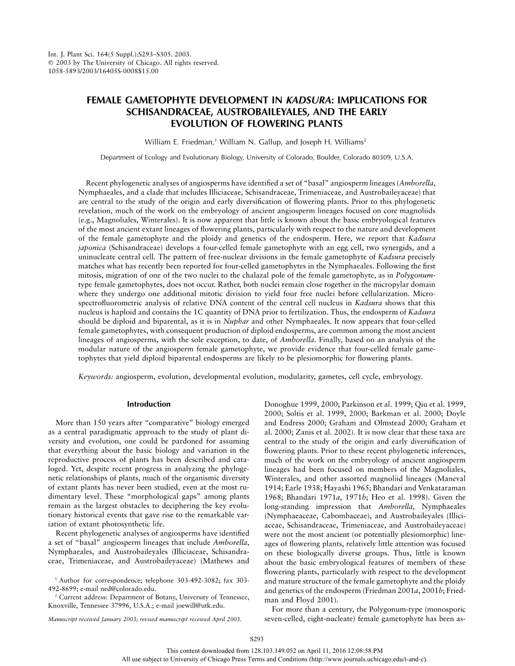 Implications for Schisandraceae, Austrobaileyales, and the Early Evolution of Flowering Plants