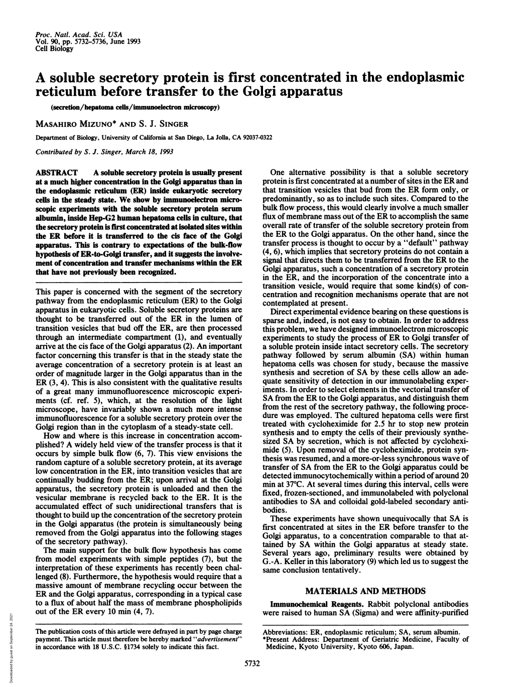 A Soluble Secretory Protein Is First Concentrated in the Endoplasmic