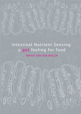 Intestinal Nutrient Sensing: a Gut Feeling for Food |