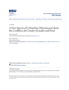 A New Species of Cybianthus (Myrsinaceae) from the Cordillera Del Condor (Ecuador and Peru) John J