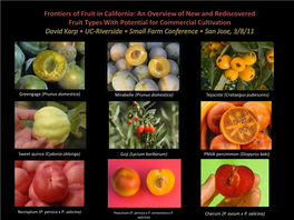Frontiers of Fruit in California: an Overview of New and Rediscovered Fruit Types with Potential for Commercial Cultivation