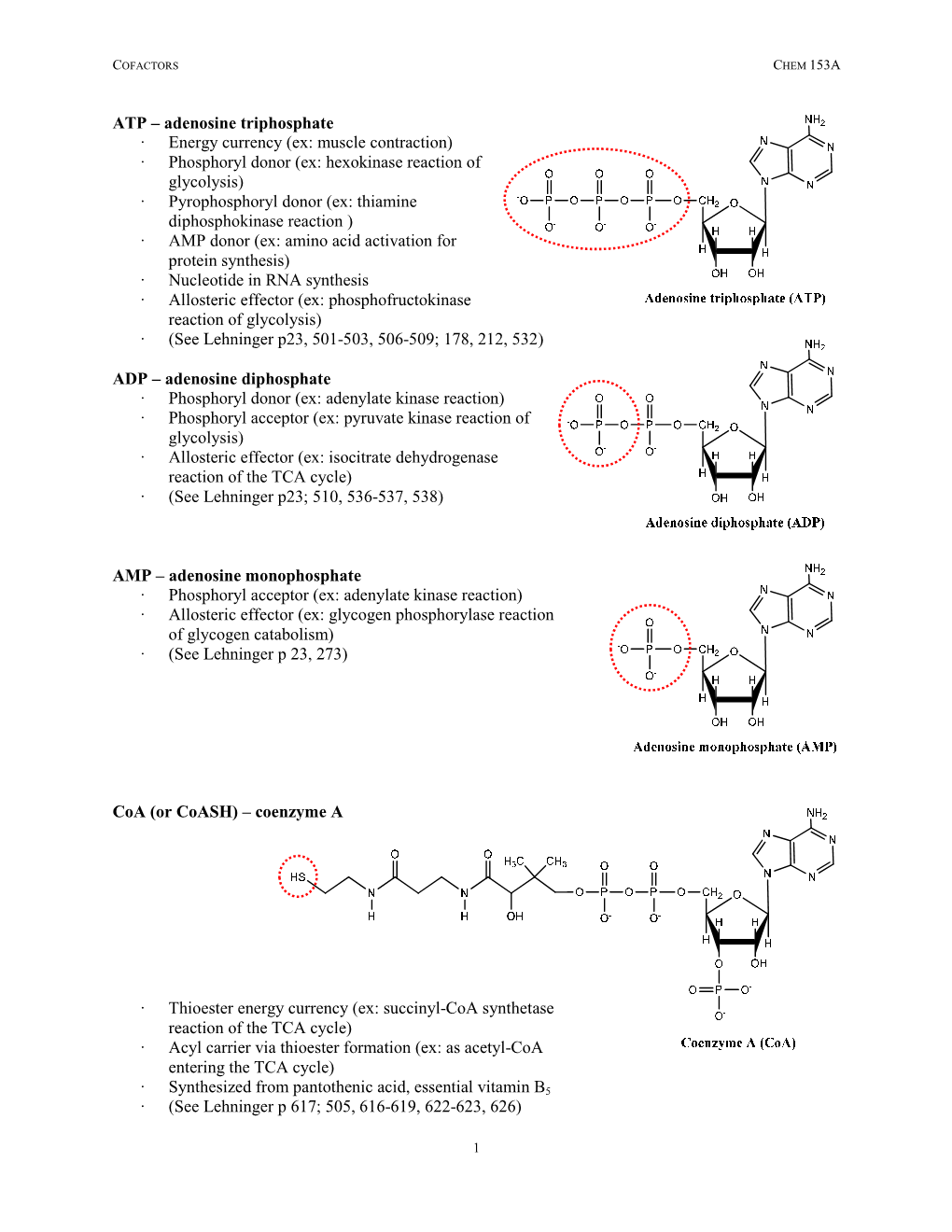 Cofactors Chem 153A 1