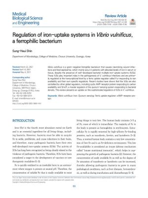 Regulation of Iron-Uptake Systems in Vibrio Vulnificus, a Ferrophilic Bacterium