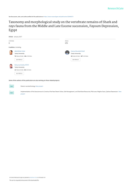 Taxonomy and Morphological Study on the Vertebrate Remains of Shark and Rays Fauna from the Middle and Late Eocene Succession, Fayoum Depression, Egypt