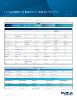 Programming Bundles and Packages