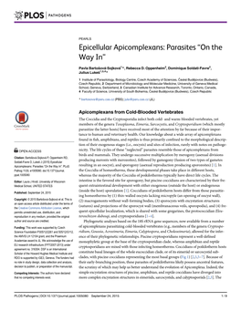 Epicellular Apicomplexans: Parasites “On the Way In”