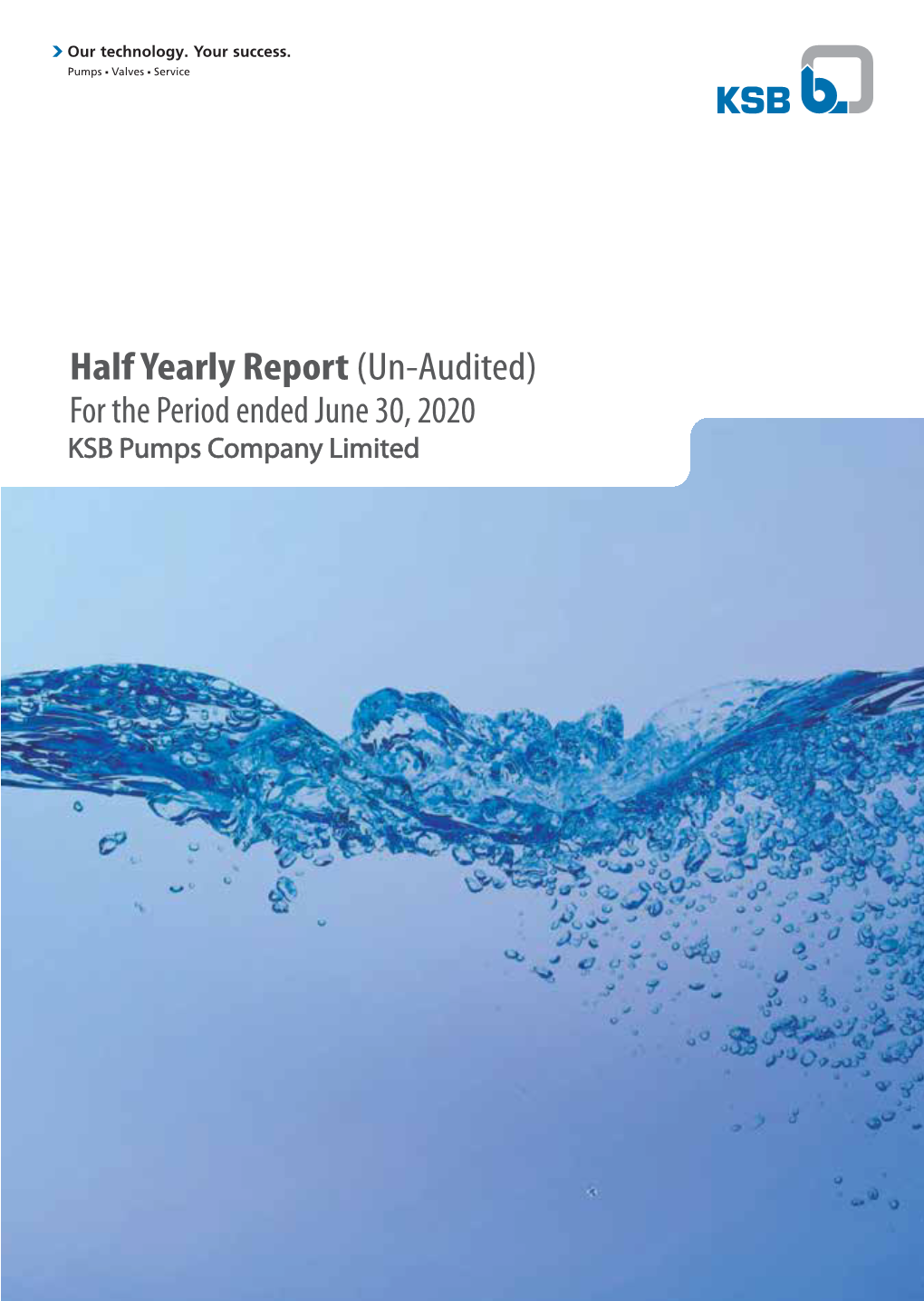 Interim Accounts Half Yearly, 2020(PDF 784