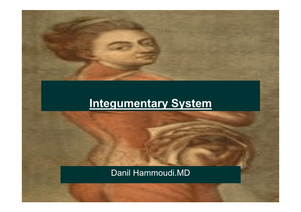 Integumentary System