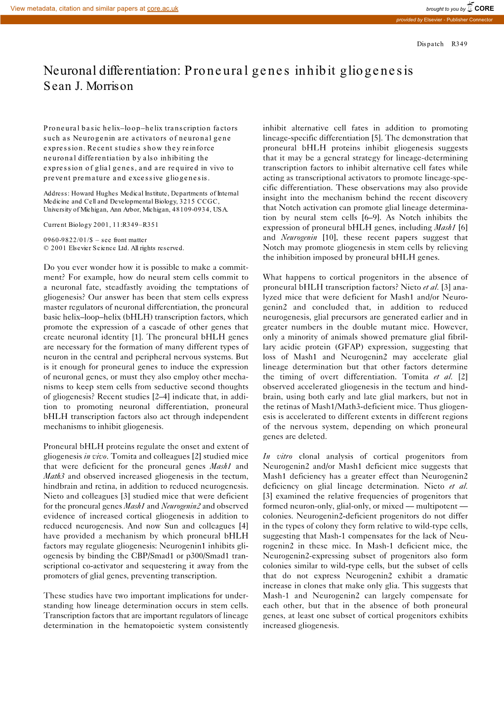 Neuronal Differentiation: Proneural Genes Inhibit Gliogenesis Sean J