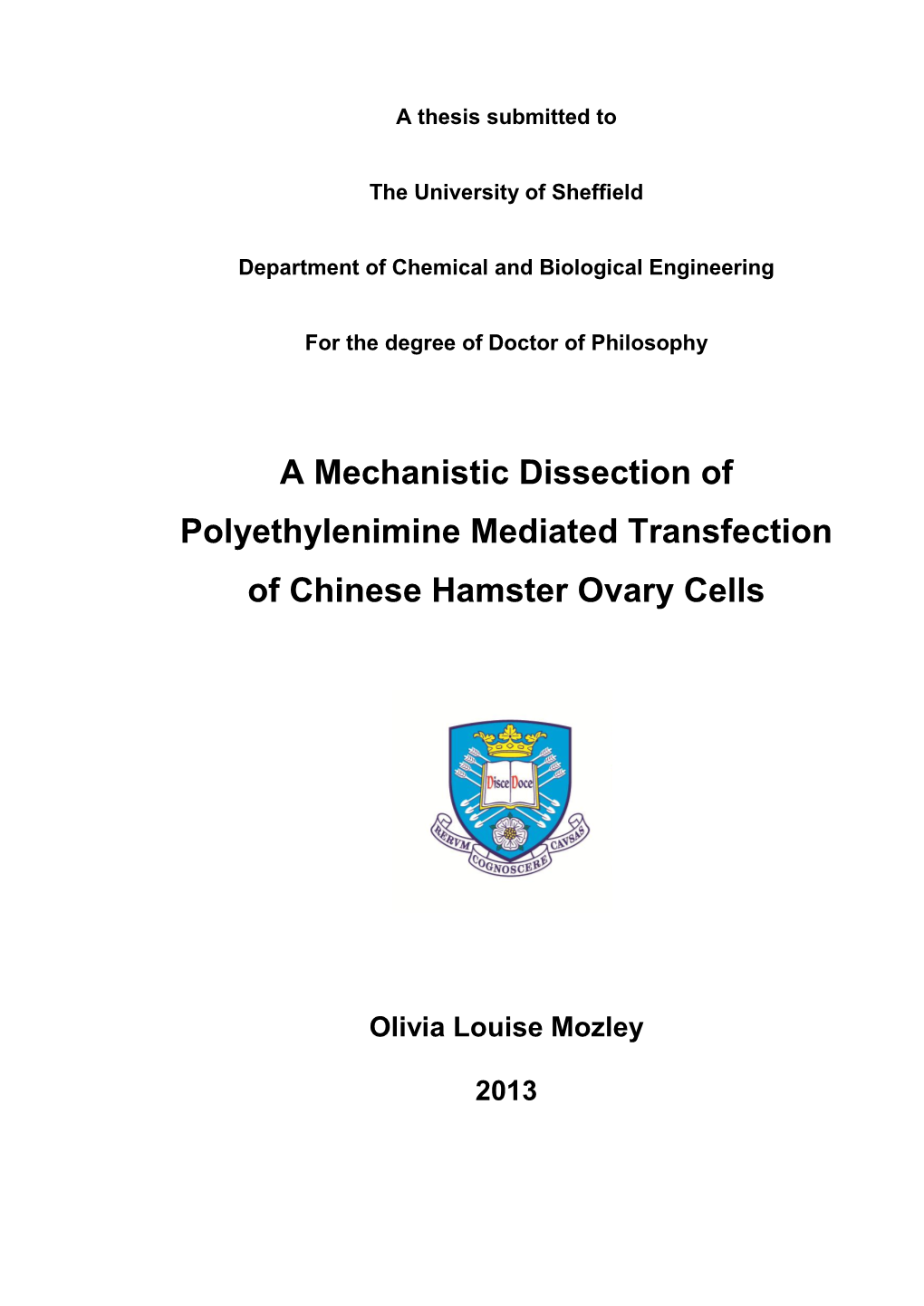A Mechanistic Dissection of Polyethylenimine Mediated Transfection of Chinese Hamster Ovary Cells
