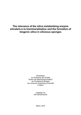 The Relevance of the Silica Metabolizing Enzyme Silicatein-Α to Biomineralization and the Formation of Biogenic Silica in Siliceous Sponges