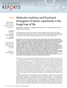 Molecular Evolution and Functional Divergence of Tubulin Superfamily In