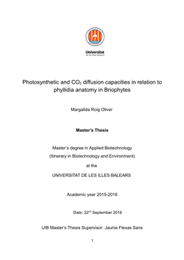 Photosynthetic and CO2 Diffusion Capacities in Relation to Phyllidia Anatomy in Briophytes