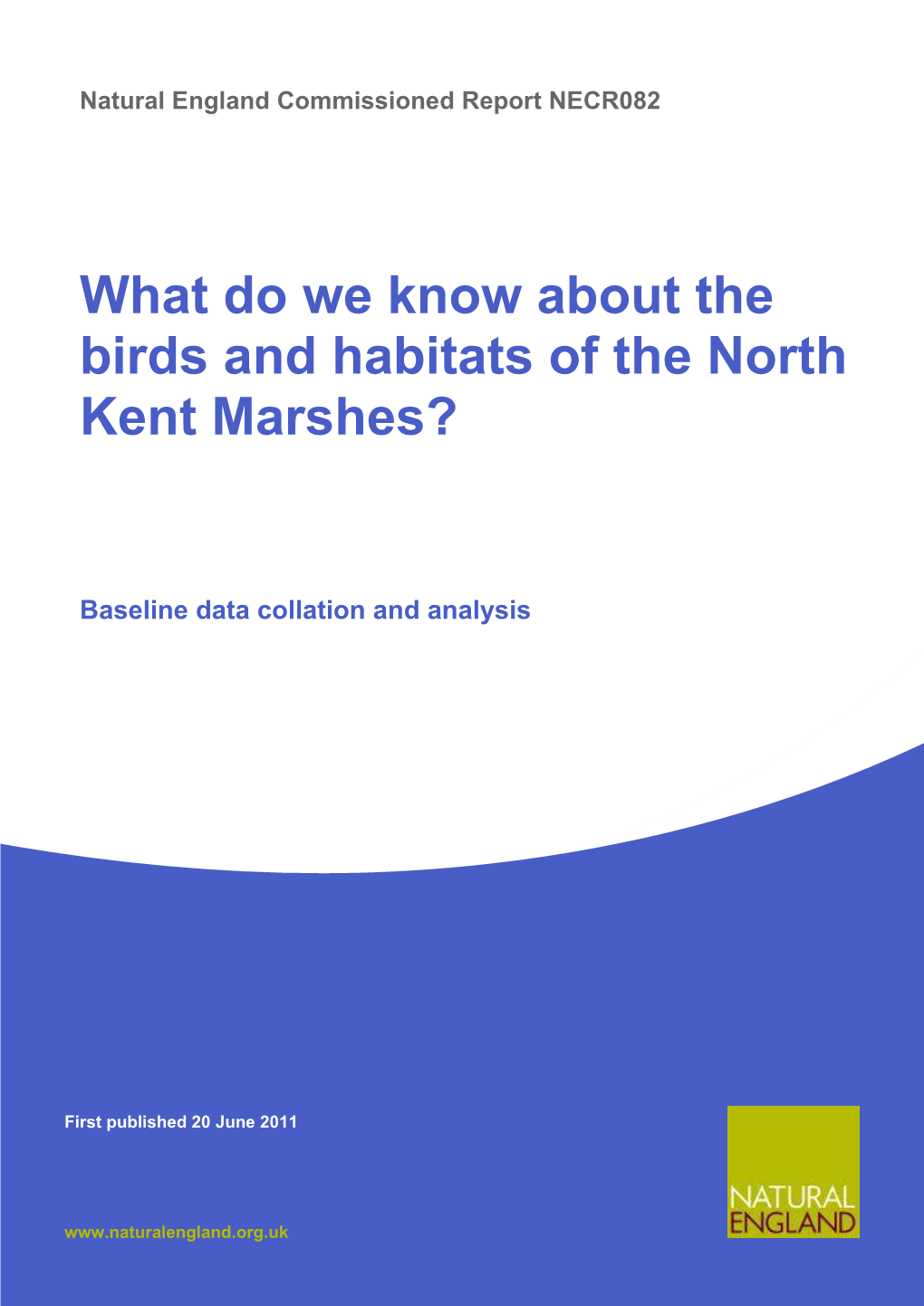 What Do We Know About the Birds and Habitats of the North Kent Marshes?