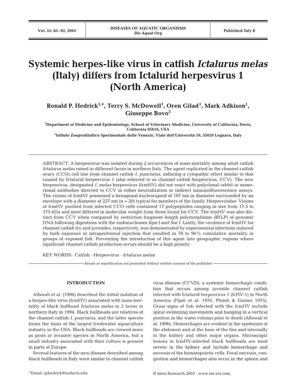 Systemic Herpes-Like Virus in Catfish Ictalurus Melas (Italy) Differs from Ictalurid Herpesvirus 1 (North America)