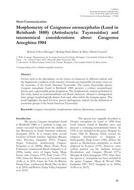 Morphometry of Catagonus Stenocephalus (Lund in Reinhardt 1880) (Artiodactyla: Tayassuidae) and Taxonomical Considerations About Catagonus Ameghino 1904