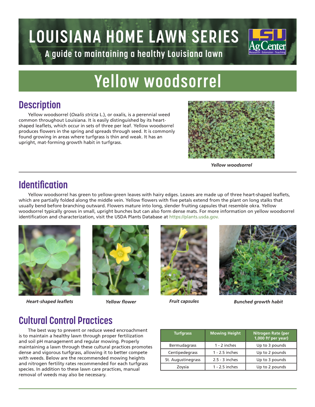 Yellow Woodsorrel Description Yellow Woodsorrel (Oxalis Stricta L.), Or Oxalis, Is a Perennial Weed Common Throughout Louisiana