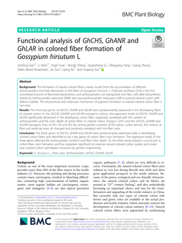 Functional Analysis of Ghchs, Ghanr And