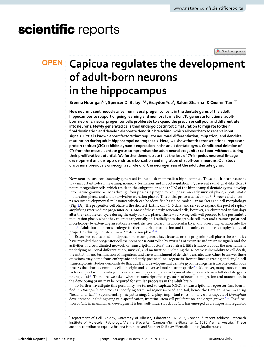 Capicua Regulates the Development of Adult-Born Neurons in The