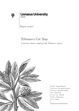 Tribonacci Cat Map a Discrete Chaotic Mapping with Tribonacci Matrix