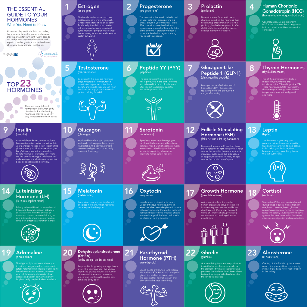 Top-23-Hormones.Pdf