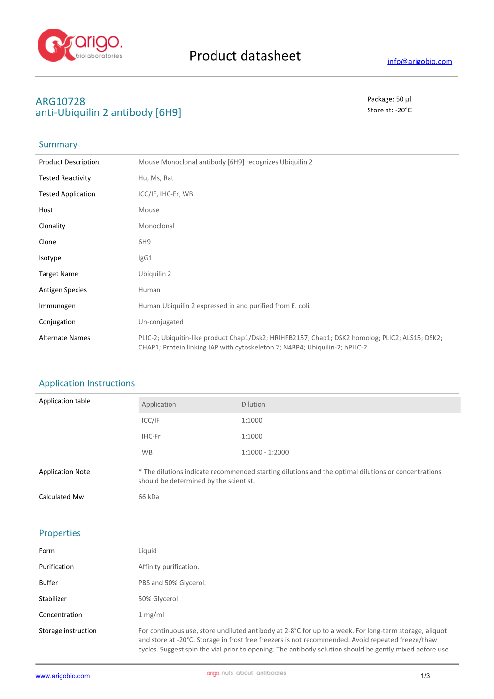 Anti-Ubiquilin 2 Antibody [6H9] (ARG10728)