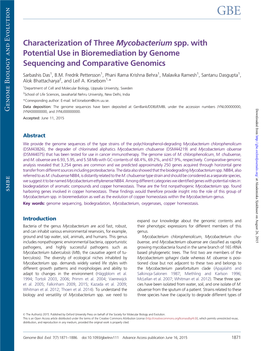 Characterization of Three Mycobacterium Spp. with Potential Use in Bioremediation by Genome Sequencing and Comparative Genomics