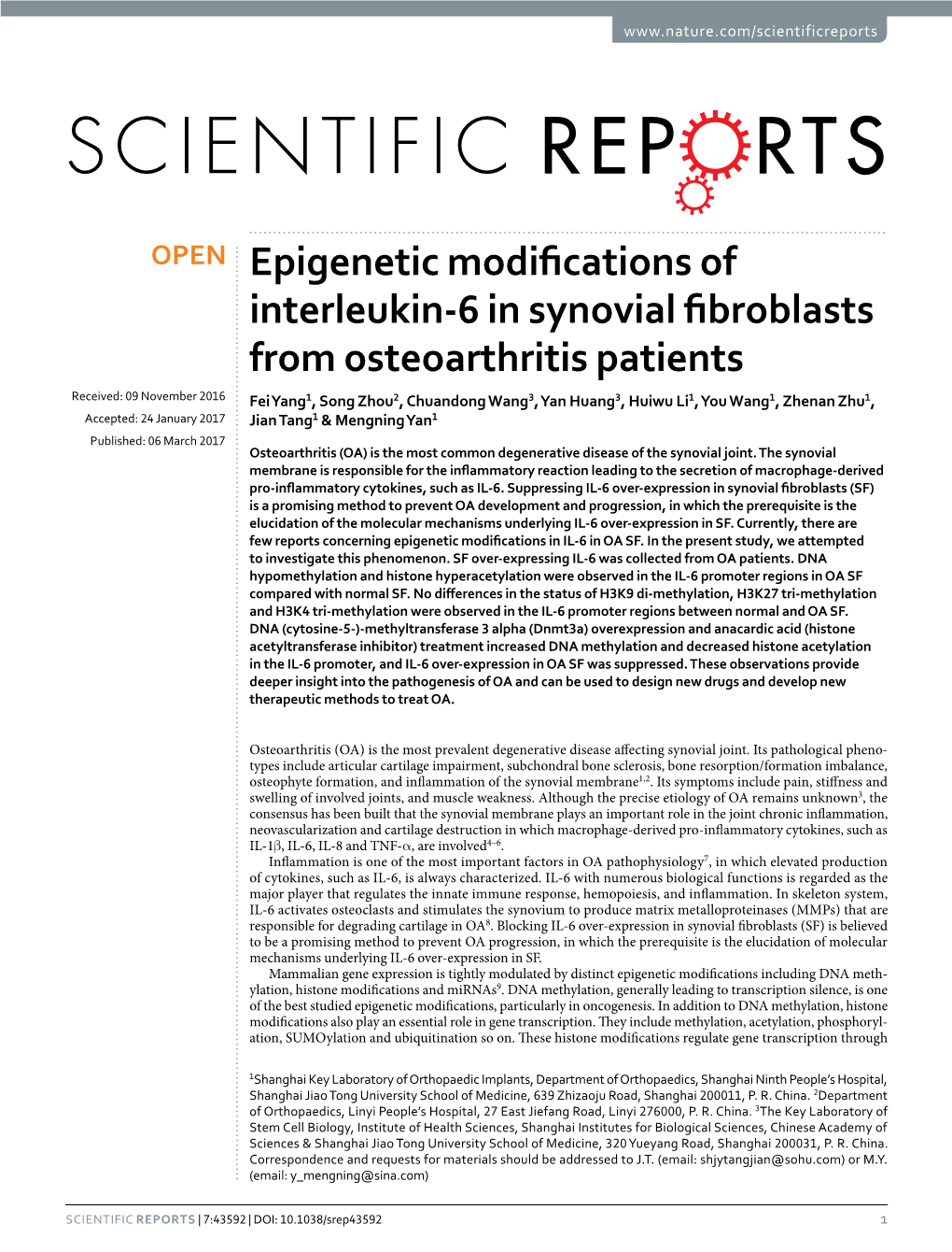 Epigenetic Modifications of Interleukin-6 in Synovial Fibroblasts