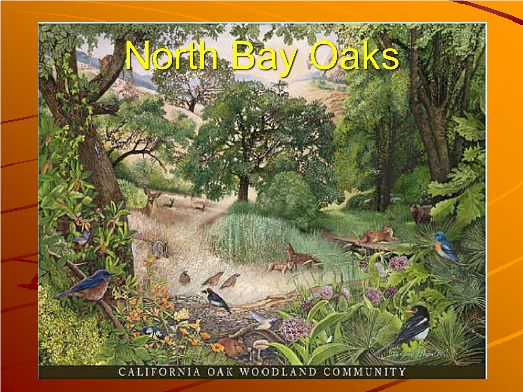 North Bay Oaks