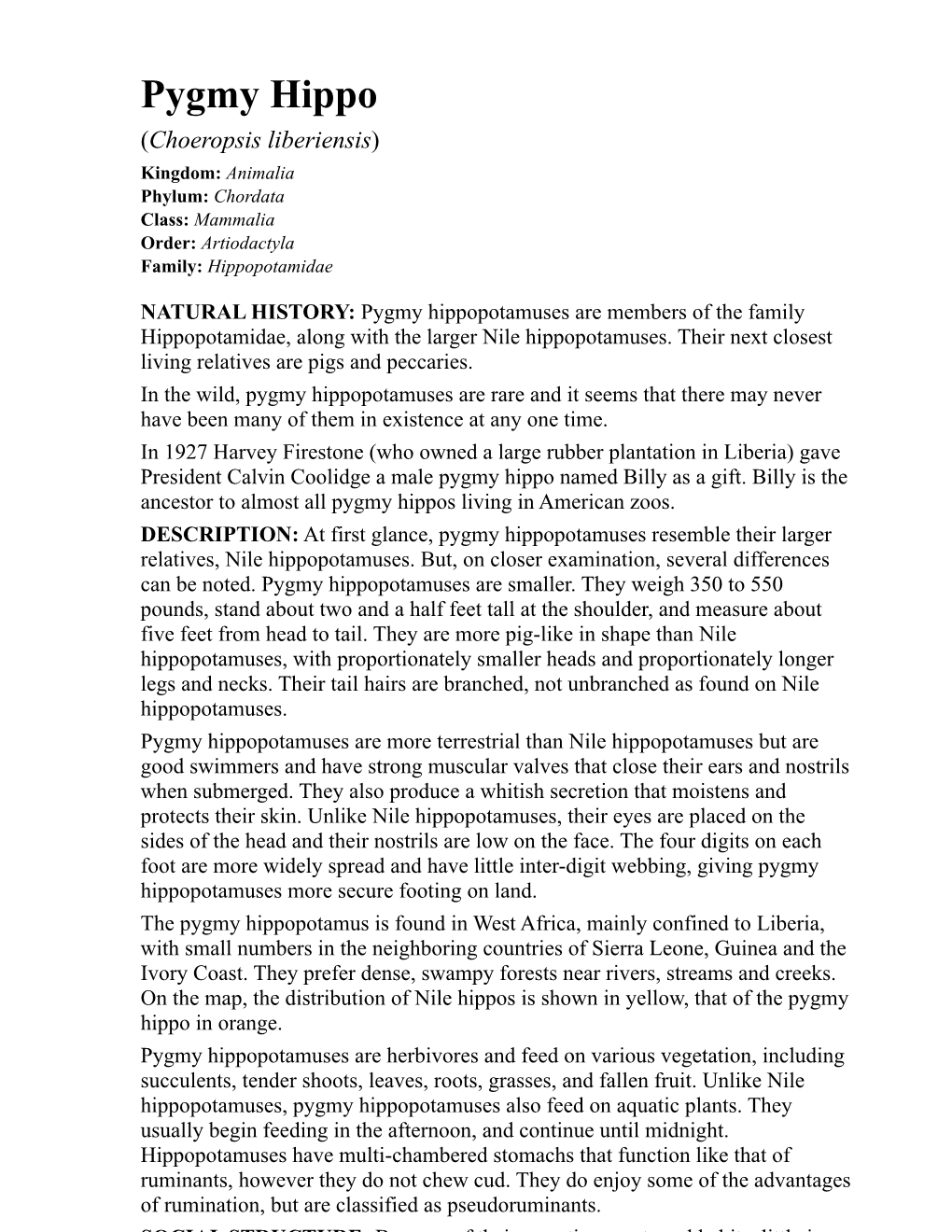 Pygmy Hippo (Choeropsis Liberiensis) Kingdom: Animalia Phylum: Chordata Class: Mammalia Order: Artiodactyla Family: Hippopotamidae