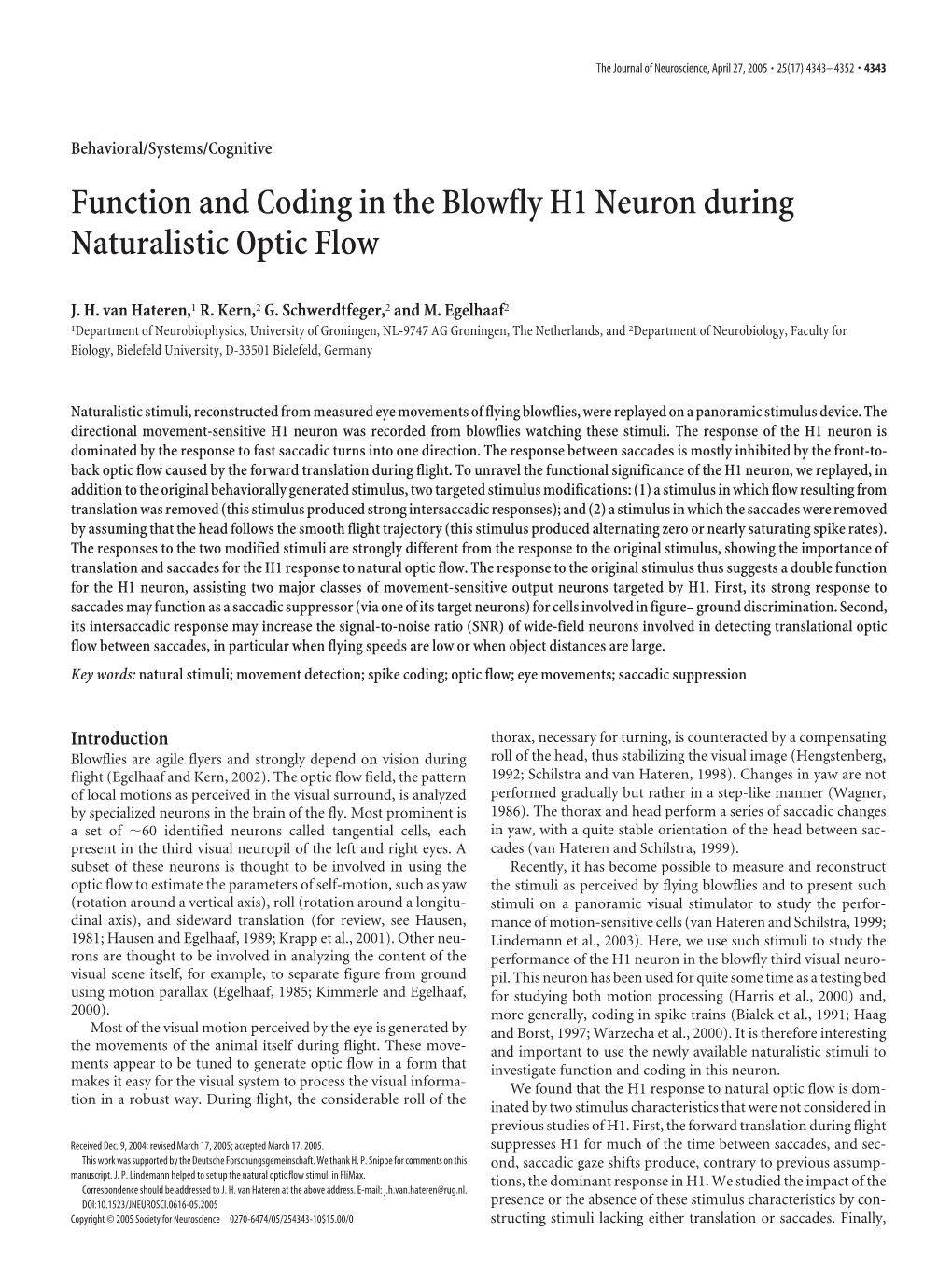 Function and Coding in the Blowfly H1 Neuron During Naturalistic Optic Flow
