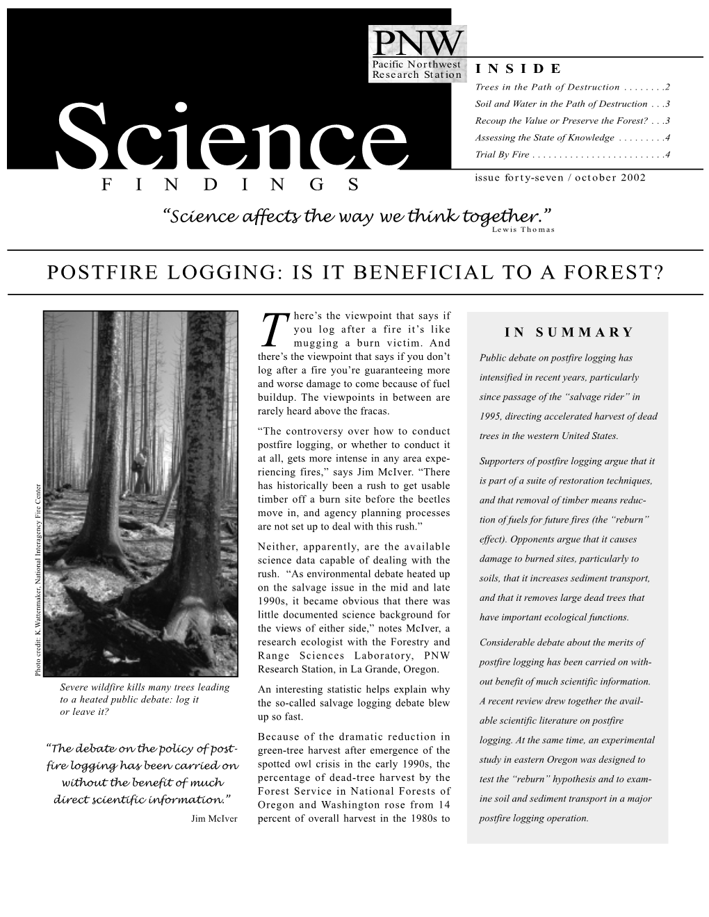 Postfire Logging: Is It Beneficial to a Forest?